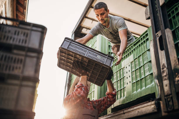 Cargo Condition After Discharge